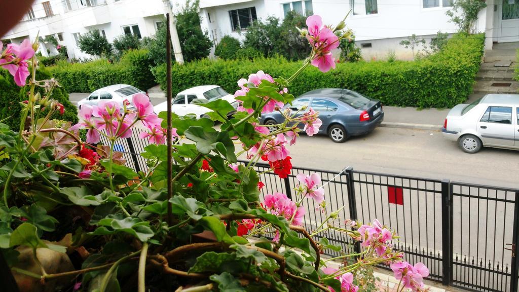 קלוז'-נאפוקה Lucas 38 Apartments מראה חיצוני תמונה